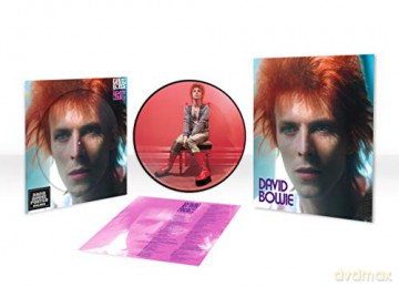 David Bowie: Space Oddity (Picture) [Winyl]