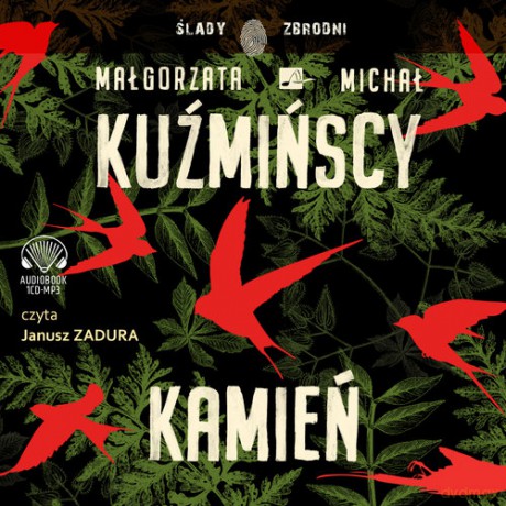 Kamień - Małgorzata Kuźmińska, Michał Kuźmiński [AUDIOBOOK]