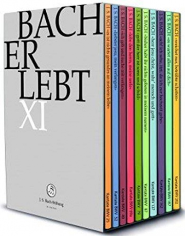 Johann Sebastian Bach (1685-1750): Bach-Kantaten-Edition der Bach-Stiftung St.Gallen "Bach erlebt" - Das Bach-Jahr 2017 [11xDVD]