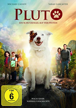 The Stray [DVD]