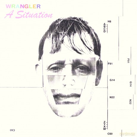 Wrangler: A Situation [CD]