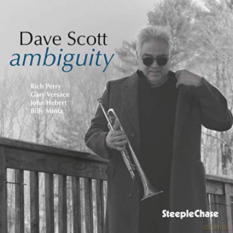 Dave Scott: Ambiguity [CD]