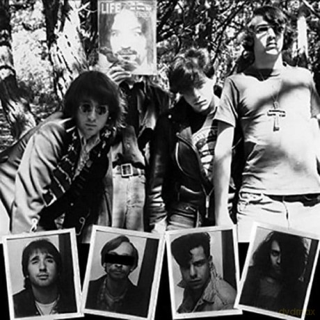 Dwarves: Lick It 1983-1986 (Limited) [2xWinyl]