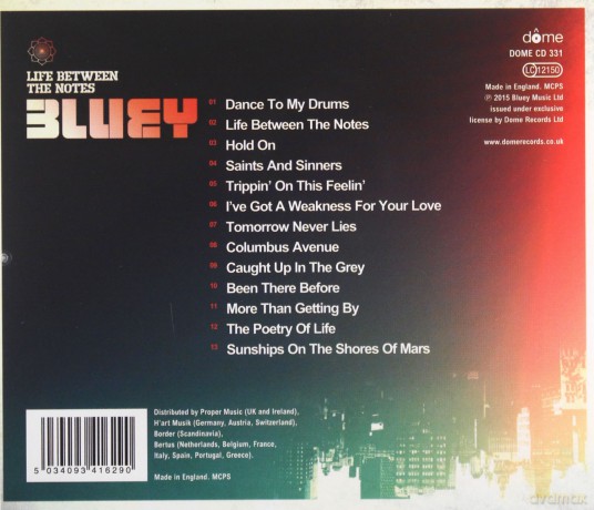Bluey: Life Between The Notes [CD]