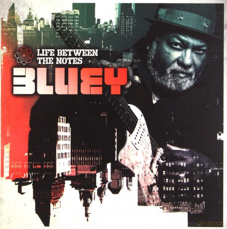 Bluey: Life Between The Notes [CD]