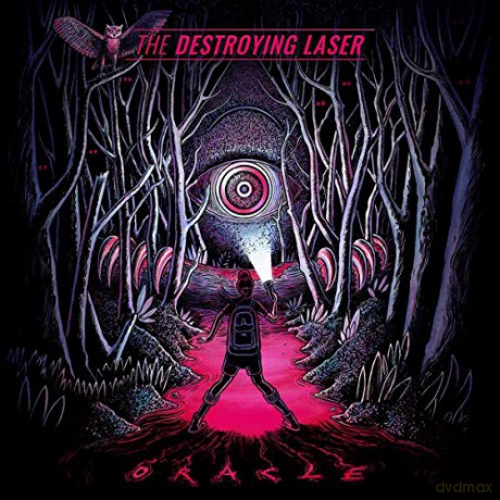 Destroying Laser: Oracle (Limited) [CD]