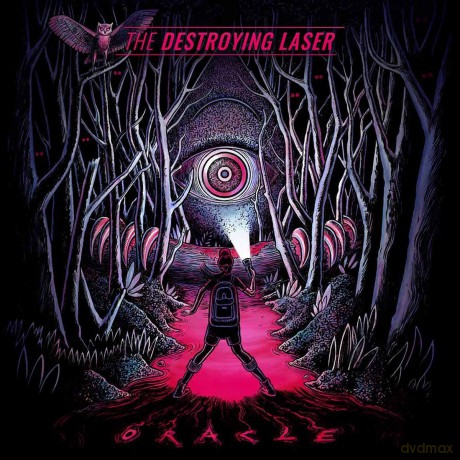 Destroying Laser: Oracle (Limited) [CD]