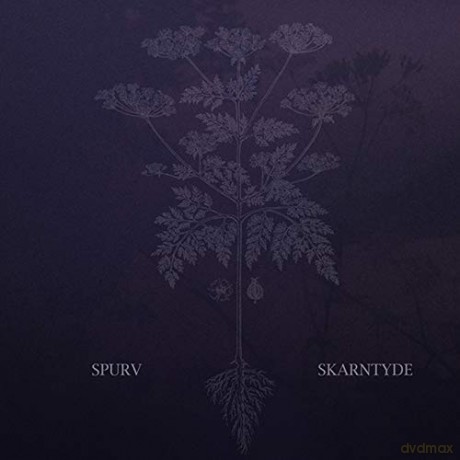 Spurv: Skarntyde [Winyl]