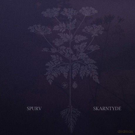 Spurv: Skarntyde [Winyl]