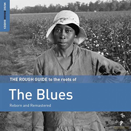 The Rough Guide To The Roots Of The Blues [CD]