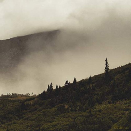 Lord Buffalo: Tohu Wa Bohu [Winyl]
