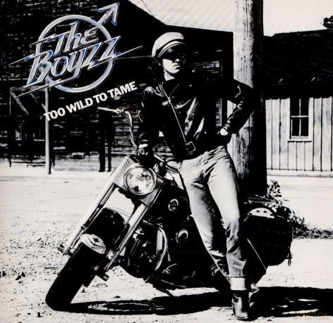 Boyzz: Too Wild To Tame [CD]