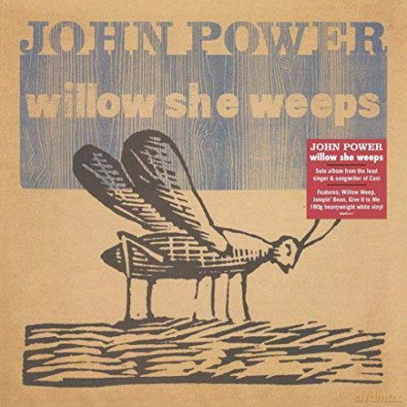 John Power: Willow She Weeps [Winyl]