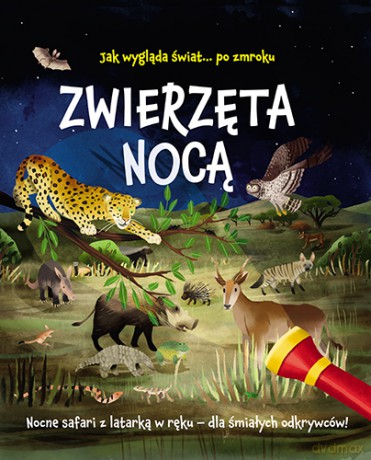 Zwierzęta nocą. Nocne safari z latarką w ręku - Lisa Regan [KSIĄŻKA]