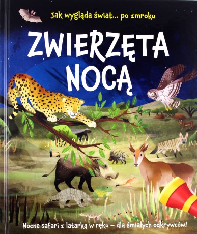 Zwierzęta nocą. Nocne safari z latarką w ręku - Lisa Regan [KSIĄŻKA]