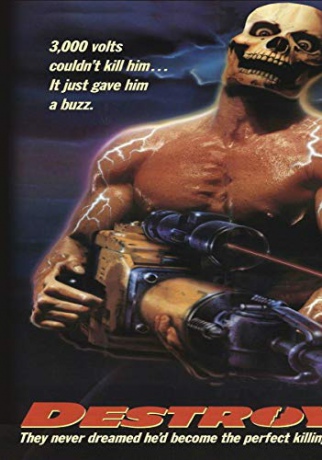 Destroyer [DVD]