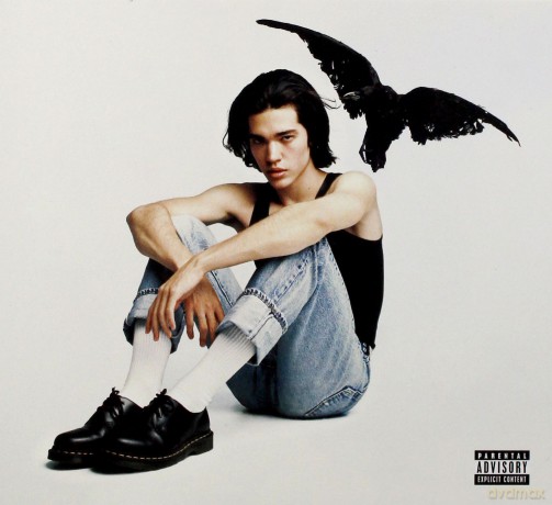 Conan Gray: Kid Krow [CD]