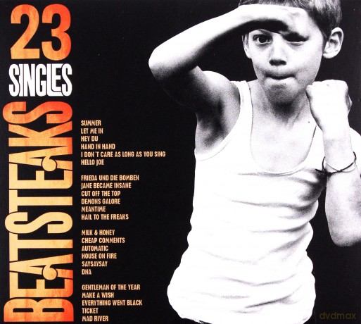 Beatsteaks: 23 Singles [CD]