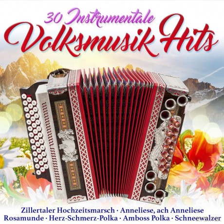 30 instrumentale Volksmusik-Hits [CD]