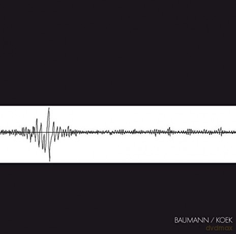 Baumann/Koek: Baumann/Koek [CD]