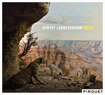 Robert Landfermann: Brief [CD]