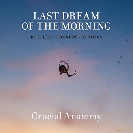 Last Dream Of The Morning: Crucial Anatomy [CD]