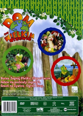 Dom na wielkim drzewie: Burza [DVD]