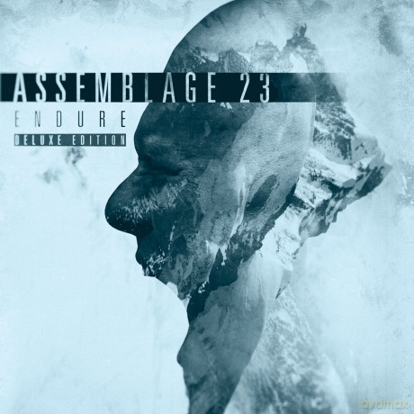Assemblage 23: Endure (Deluxe) [2CD]