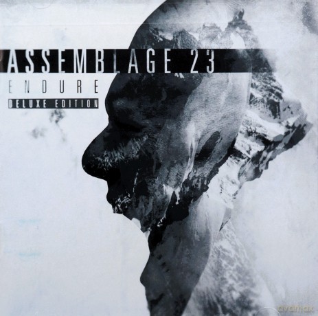 Assemblage 23: Endure (Deluxe) [2CD]