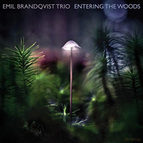 Emil Brandqvist: Entering The Woods [CD]