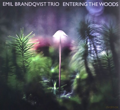 Emil Brandqvist: Entering The Woods [CD]