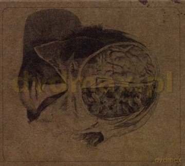 Farsot: Insects Limited Edition [CD]