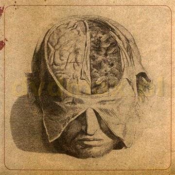 Farsot: Insects [CD]