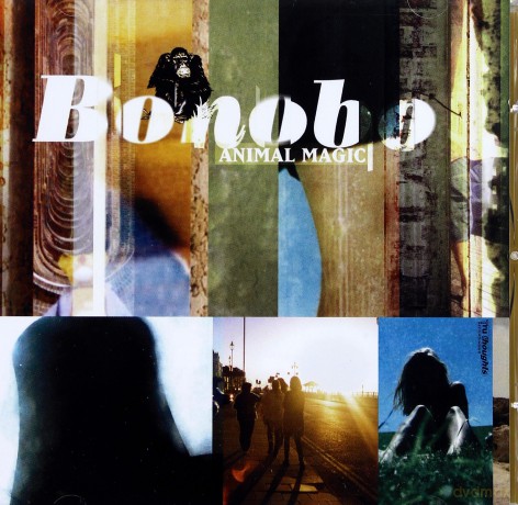 Bonobo: Animal Magic (Niska Cena) [CD]
