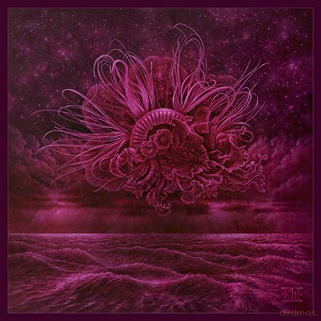 In Mourning: Garden of Storms (Limited) [CD]