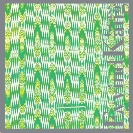 Eyvind Kang: Grass [CD]