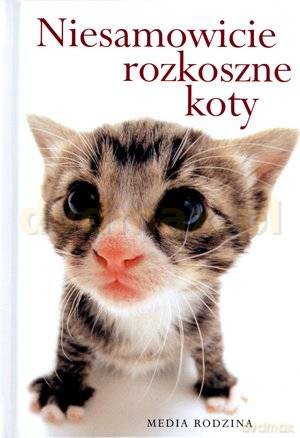 Niesamowicie rozkoszne koty - Lech Jęczmyk [KSIĄŻKA]