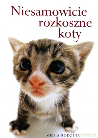 Niesamowicie rozkoszne koty - Lech Jęczmyk [KSIĄŻKA]