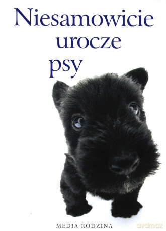 Niesamowicie urocze psy - Lech Jęczmyk [KSIĄŻKA]