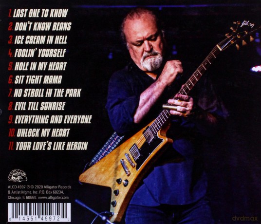 Tinsley Ellis: Ice Cream In Hell [CD]