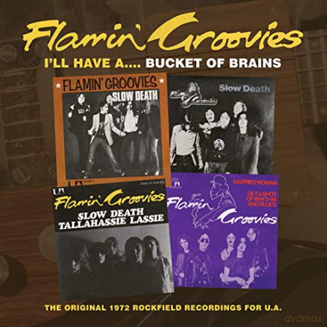 The Flamin' Groovies: I'll Have A Bucket Of Brains: The Original 1972 Rockfield Recordings For U. A. [CD]