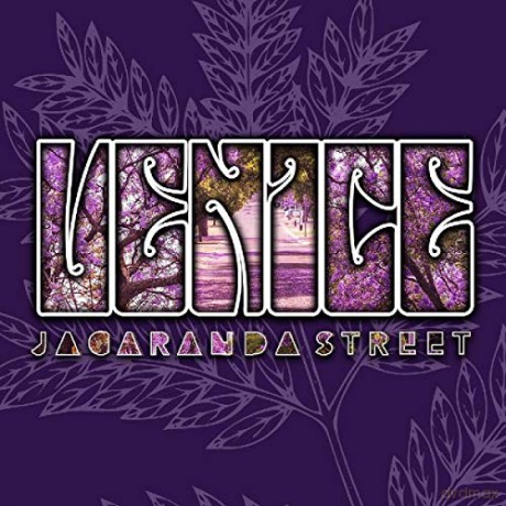 Venice: Jacaranda Street [CD]