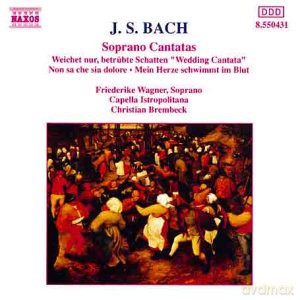 Johann Sebastian Bach: Kantaten BWV 199,202,209 [CD]
