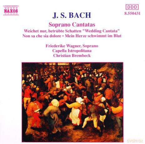 Johann Sebastian Bach: Kantaten BWV 199,202,209 [CD]