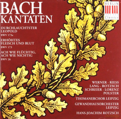 Johann Sebastian Bach: Kantaten BWV 26,173,173a [CD]