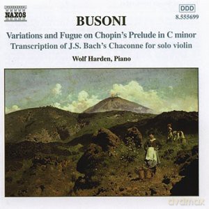 Ferruccio Busoni: Klavierwerke Vol.2 [CD]