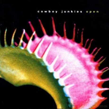 Cowboy Junkies: Open [CD]