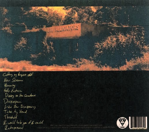 Turnover: Peripheral Vision [CD]