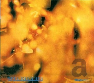 Steamhammer: Reflection [CD]