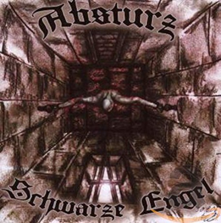Absturz: Schwarze Engel [CD]